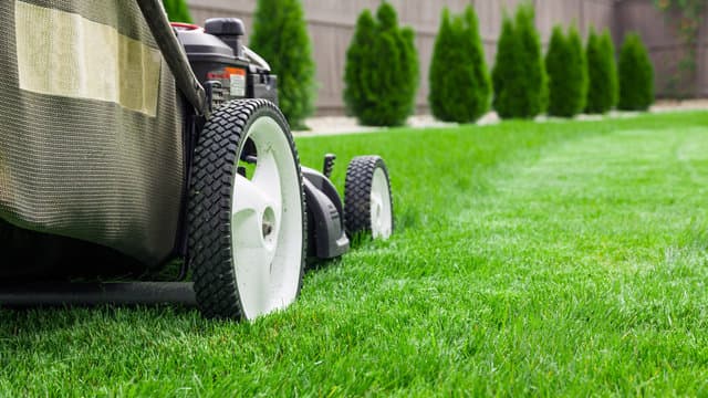 Mowing