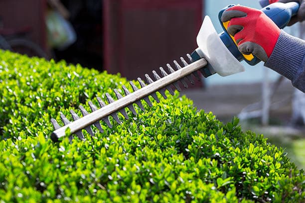 Trimming