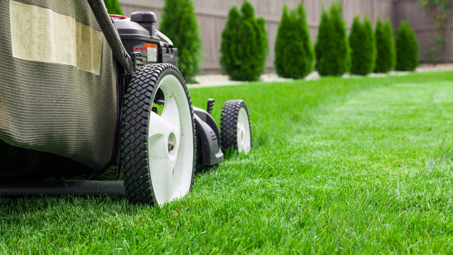 Mowing