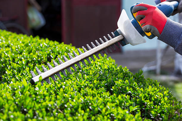 Trimming